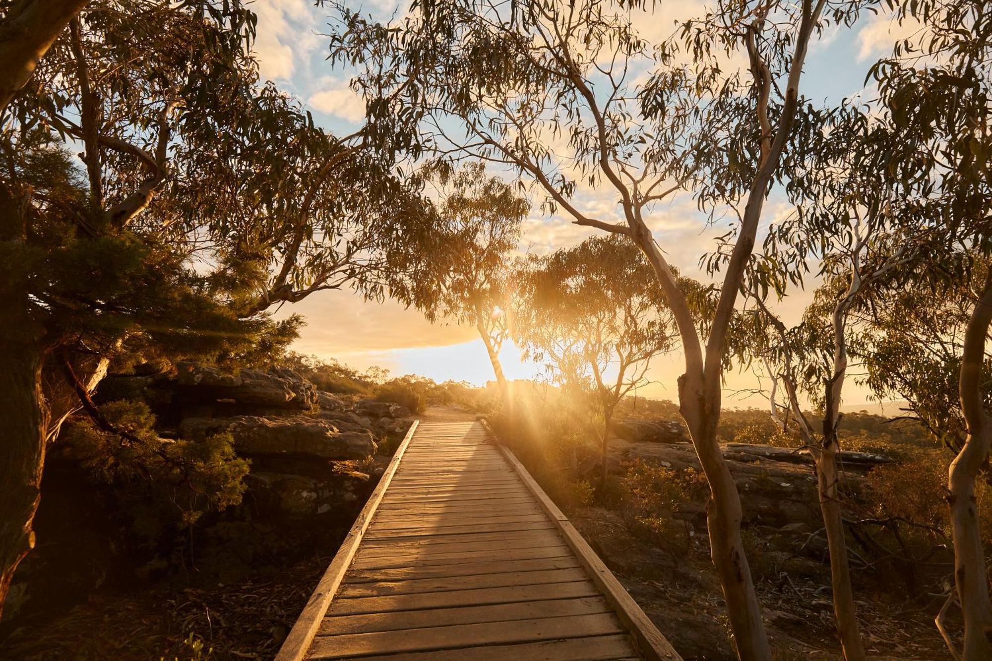 Heavenly Retreat Villa Halls Gap Eksteriør billede